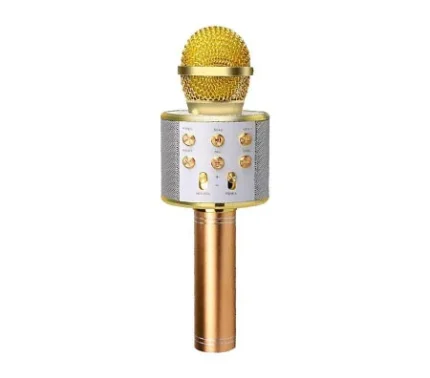 Best Wireless Mic with Speaker
