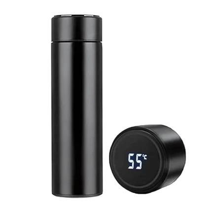 LED Temperature Display Water Bottle
